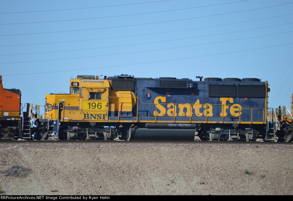 Yellowbonnet on Home Rails